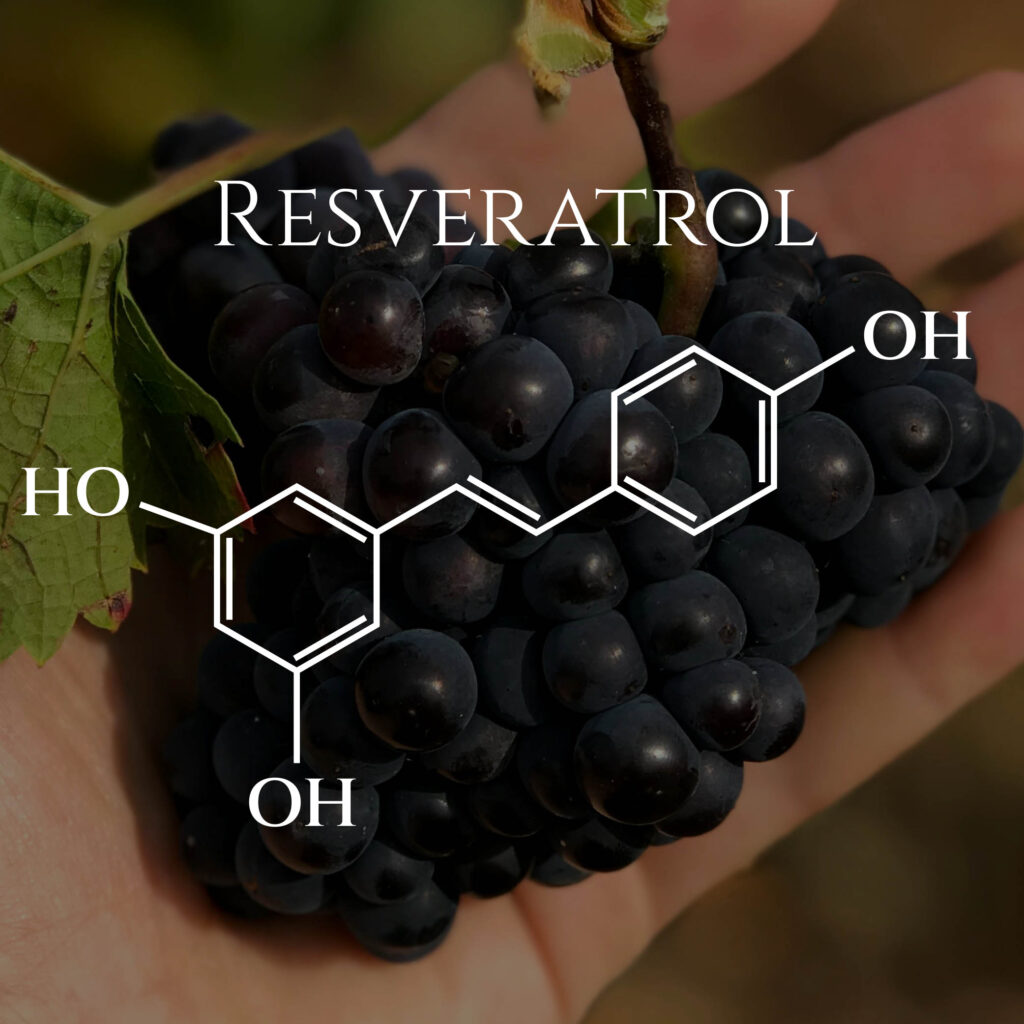 image of Resveratrol compound